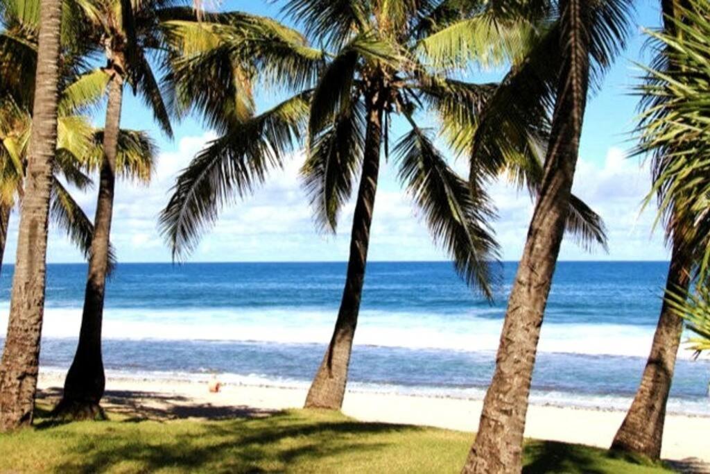 Maison De Vacances, Decouvrir Le Sud De La Reunion Petite Île Esterno foto
